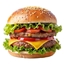 Super Juicy Hamburger logo