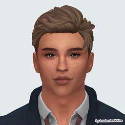 Preston HAIR [T-E]