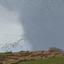 the immersive horror (tornado in picture not included) logo