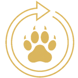 Auto Pets