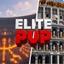 The Elite pvp logo