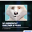 No Werewolf Eyeliner & Paws logo