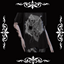 Goth Gothic Skull Graphic Tee logo