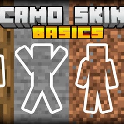 more skins project image