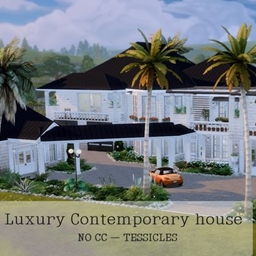 Luxury Contemporary house | No CC logo