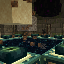 Gravity Duplication Return project image