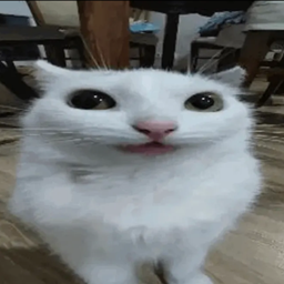 Cat Nextbot project image