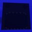 Oceanic Myths logo