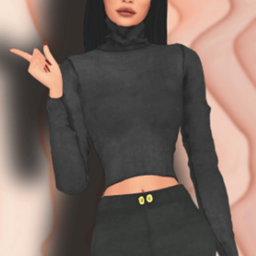 TURTLENECK LONG SLEEVE BODY TOP project image