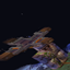 The Boys SMP world logo