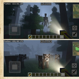 Silence The Forest