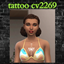 tattoo cv2269 logo