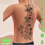 Jane Tattoos JTN1705 - Basegame Compatible logo