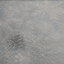 Winter Whisper USED RUG logo