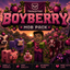 BoyBerry Adventure logo