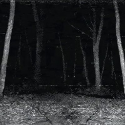 The Forest [Horror] [Fun with friends] logo
