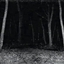 The Forest [Horror] [Fun with friends] logo