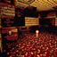 DO_NOT_JOIN.JAR -The experience- logo
