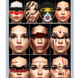 Native Americans All Ages project image