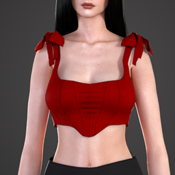 Crop Top Corset With Bows project image