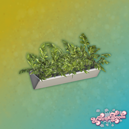 Marabor - Plant 3 project image