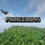 Princedoms logo