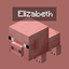 Random Entity Names logo