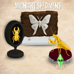 Midnight Specimens project image