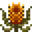 Australian Flowers logo
