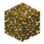 Golden Birch Leaves logo