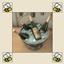 Live Draggable Wedding Toast Bucket logo