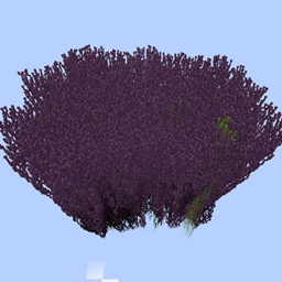 Infinite Growth