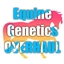 Equine Genetics Overhaul logo