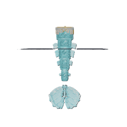 Liberty Sea Tail project image