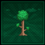 Terraria not MC logo