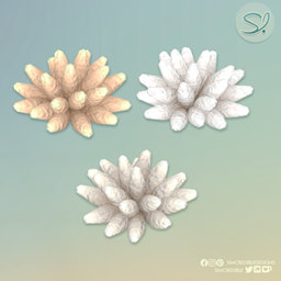 Saltwater Coral Sculpture project image