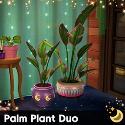 Palm Plant Duo project image