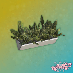 Marabor - Plant 4 project image