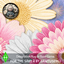 Flower Woven Dance Rug #4 Samtuse963 logo