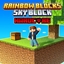 Rainbow Blocks Sky Block - Hardcore Mode logo