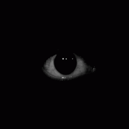 Fear of Darkness project image