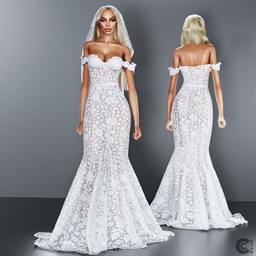 Wedding Lace Mermaid Gown project image
