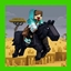 SwemCull — SWEM Horse Performance Fix logo
