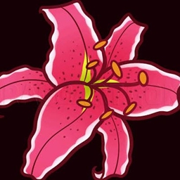 StargazerLib logo