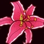 StargazerLib logo