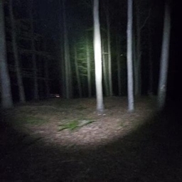 Wihtiko