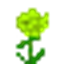 Green_Flower logo