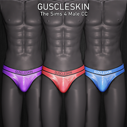 Gusclewear - Breathable Brief project image
