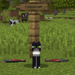 Tyler's CoolioCraft logo