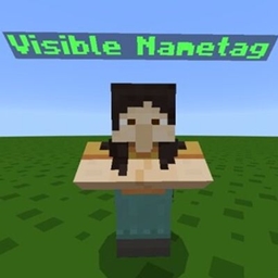 Always Visible NPC Name Tags project image